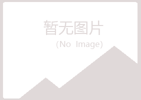 博湖县夏岚金属有限公司